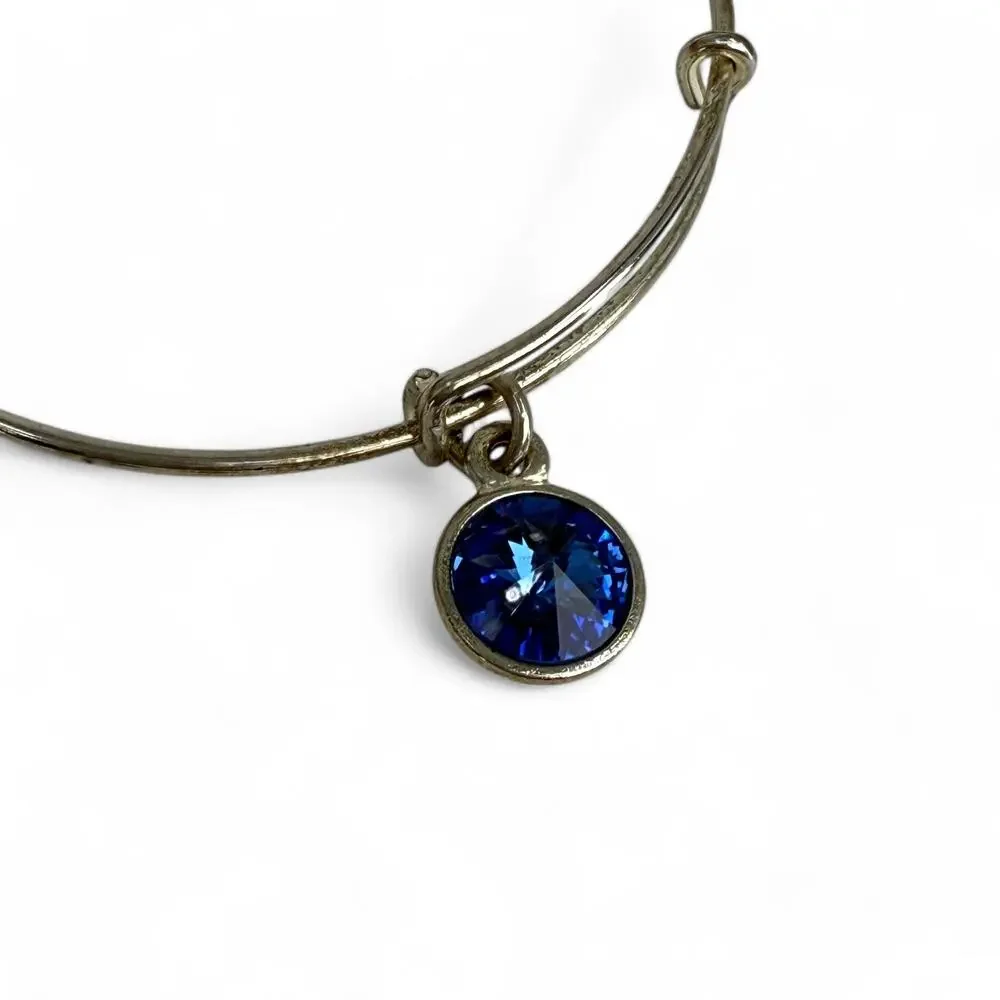 Alex and Ani Sapphire Blue Rhinestone Charm Bangle Bracelet September Birthstone
